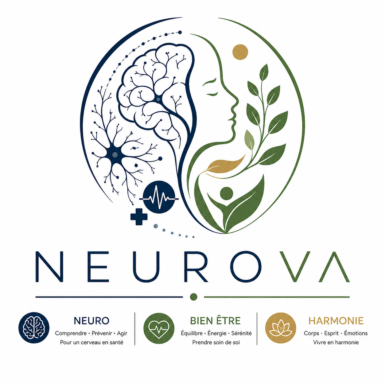 NEUROVA Une plateforme marocaine de référence en neurosciences